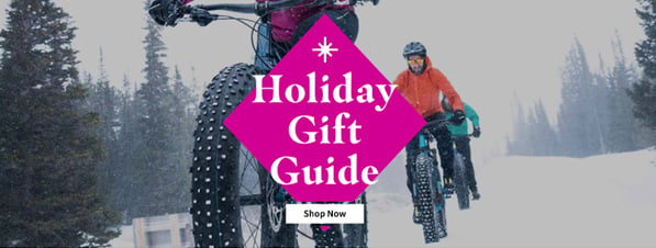 SE-EMAIL-DecMarketingUpdate20-holiday-gift-guide