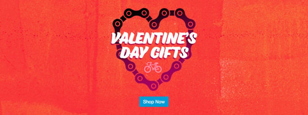 SE_EMAIL_FebLibraryUpdate20-vday-gifts