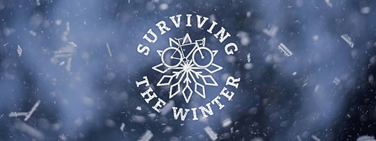 SE_EMAIL_DecMktgUpdate21-SurvivingWinter