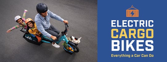 WS_BlogPost_AUGMarketingUpdate24-ElectricCargoPremium