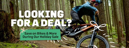 WS_BlogPost_DECMarketingUpdate24-HolidaySale