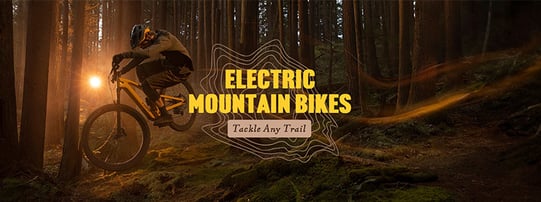 WS_BlogPost_JUNMarketingUpdate24_ElectricMTB