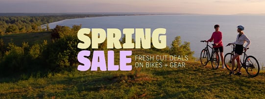 WS_BlogPost_MARMarketingUpdate25-SpringSale