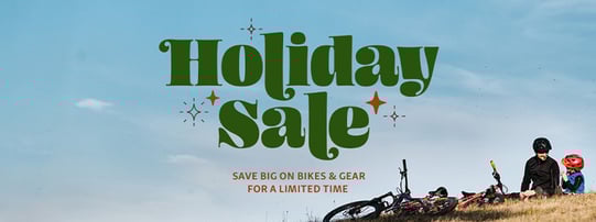WS_BlogPost_NOVMarketingUpdate24-HolidaySale