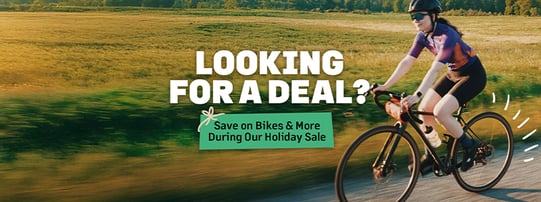 WS_BlogPost_NOVMarketingUpdate25-HolidaySale