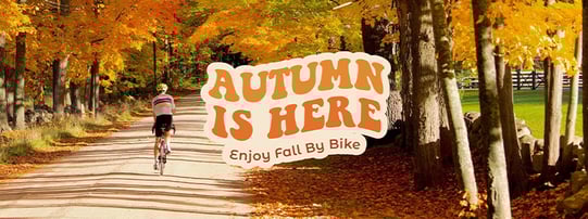 WS_BlogPost_SEPMarketingUpdate25-AutumnIsHere